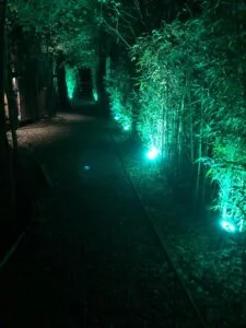 “Todo pasa y todo queda”