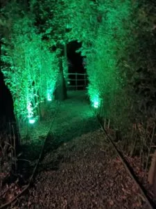 “La Superstición”