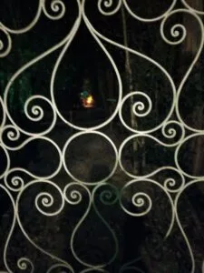 “Aprende a mirar lo que ya miraste y trata de ver lo que no viste”